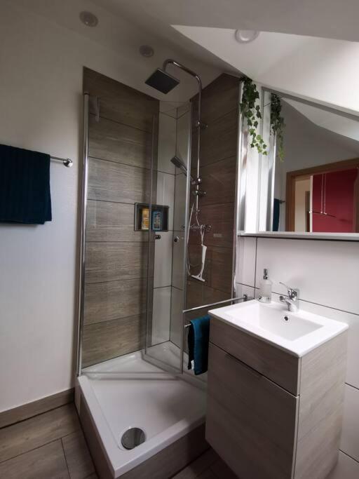 Studio Und Apartment Auf Dem Pferdehof Burgpreppach 外观 照片