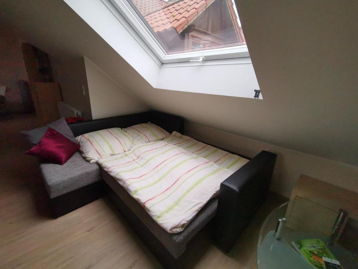 Studio Und Apartment Auf Dem Pferdehof Burgpreppach 外观 照片