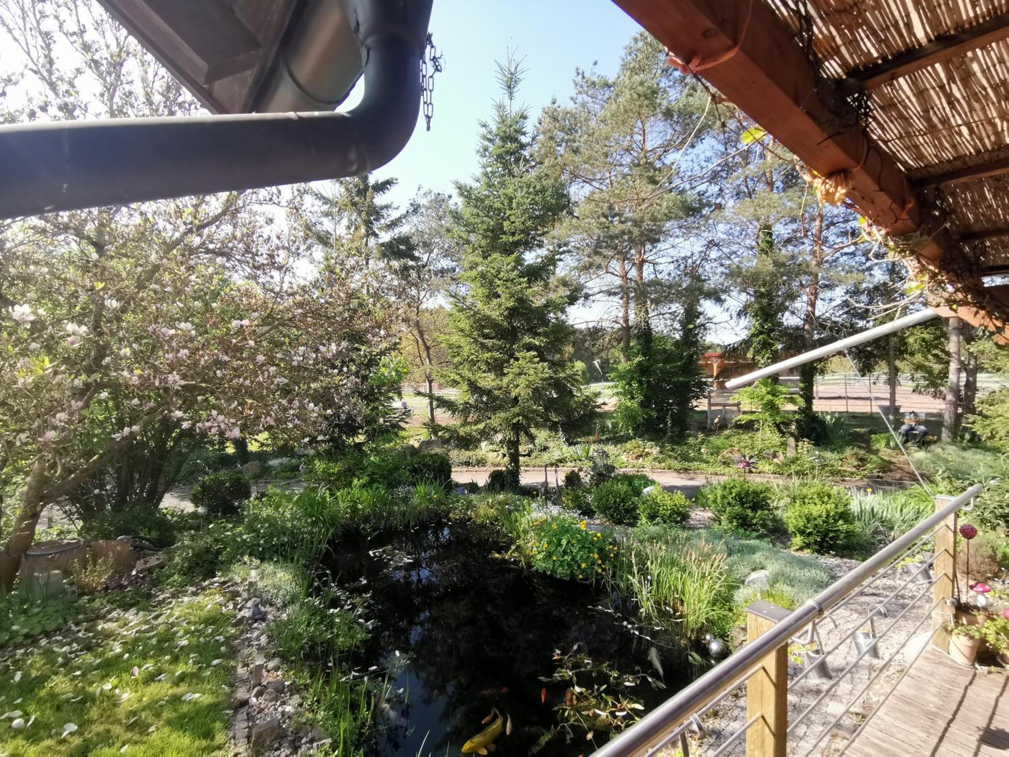 Studio Und Apartment Auf Dem Pferdehof Burgpreppach 外观 照片