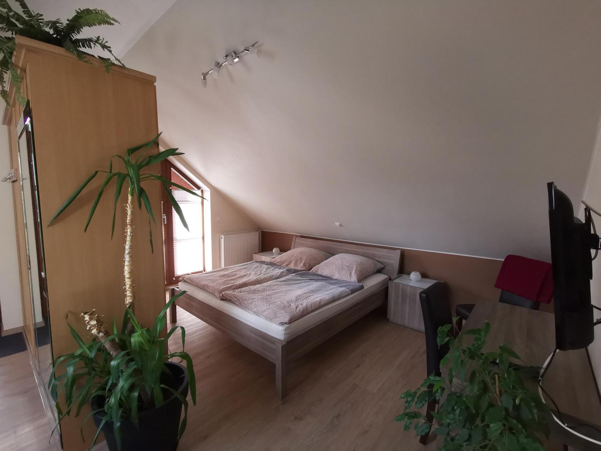 Studio Und Apartment Auf Dem Pferdehof Burgpreppach 外观 照片